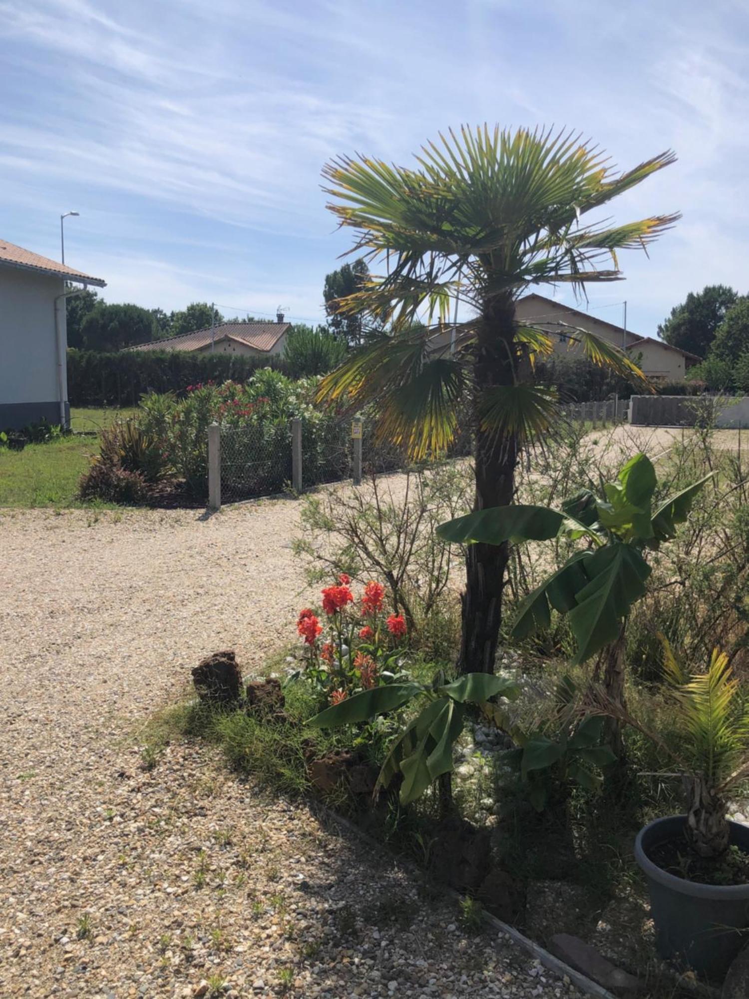 "Les Logis D'Argent" Chambre D'Hote Avec Wc, Sdb, Tv, Wifi, Option Petit Dejeuner , Parking Mimizan Esterno foto